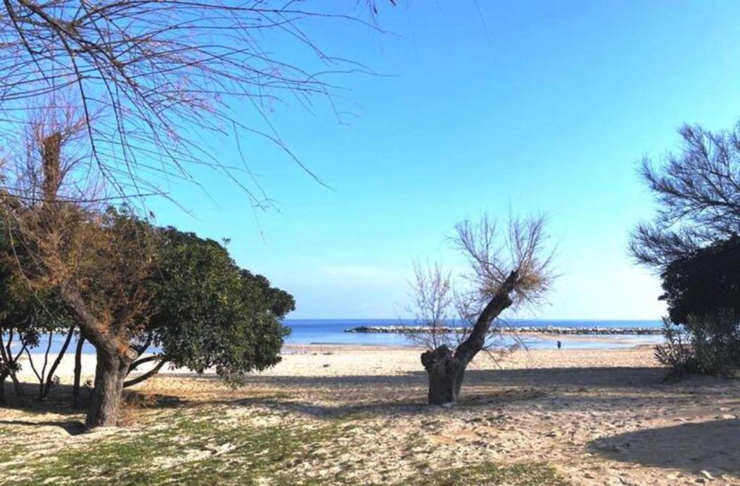 Dimora Mare Bari Exterior foto